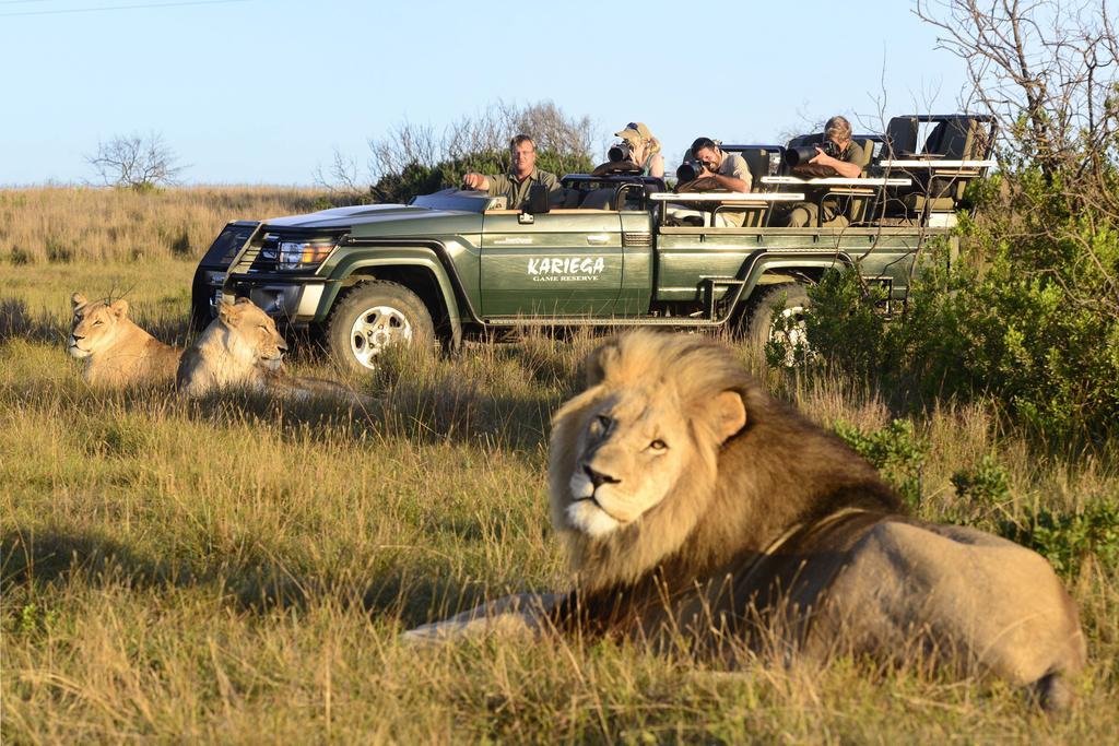 Kariega Game Reserve Main Lodge Kenton on Sea Exterior photo